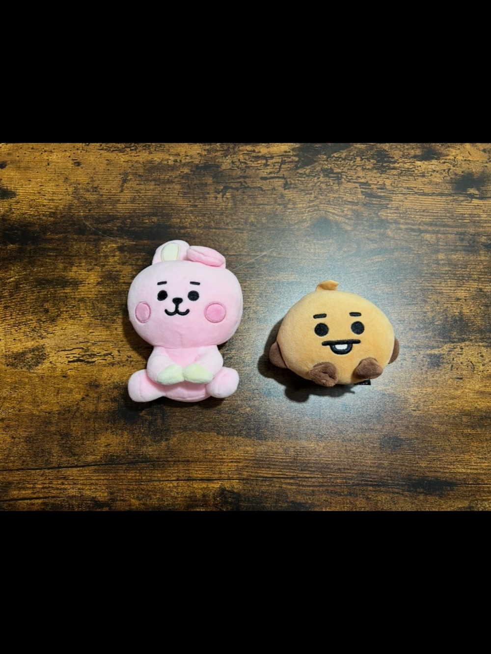 BTS BT21 Cooky and Shooky
